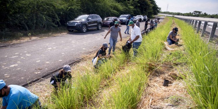 Cooperativa la Altagracia Realiza Jornada de Re forestación de 1,300 Plantas