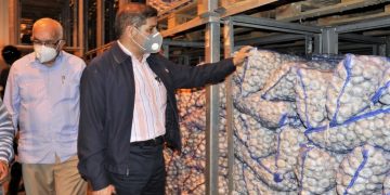 Agricultura inicia temporada de siembra de ajo en Constanza