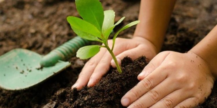 Cinco cosas que debemos evitar… por amor a la naturaleza