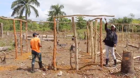 El CEA desaloja de terrenos a red de invasores en el distrito municipal de Gonzalo, de SGB.