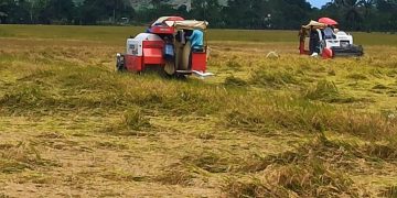 DIGERA visita Bajo Yuna y zonas agropecuarias en riesgos por lluvias