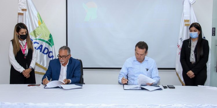 Mercadom e Industria y Comercio acuerdan fortalecer las capacidades exportadoras de los productores agrícolas