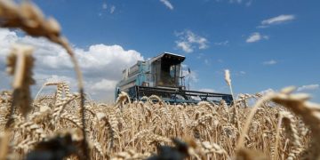 Falta de cereal ucraniano impulsa los precios mundiales a niveles récord