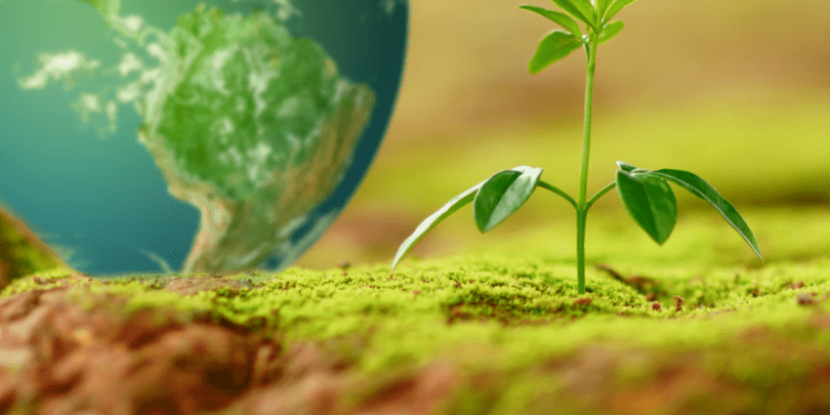 Hoy se conmemora el Día Internacional de la Madre Tierra