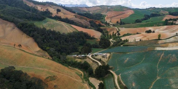 Medio Ambiente evalúa cambiar norma que protege zonas de montaña y ríos