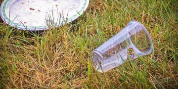 NO más plásticos de un solo uso ‘dañinos e innecesarios’