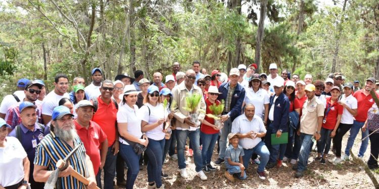 Ministerio de Trabajo participa en Plan Nacional de Reforestación