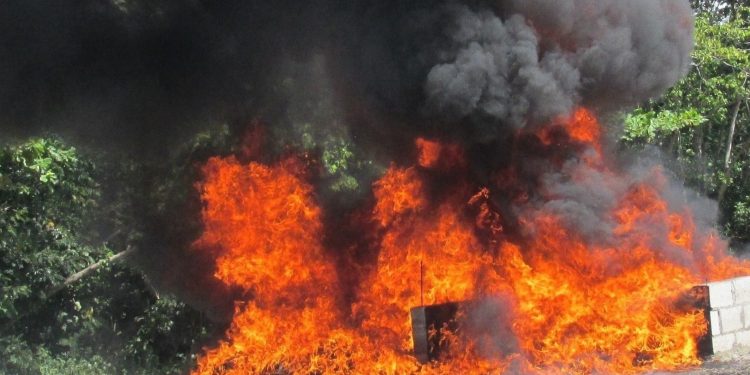 La Procuraduría incinera otros trescientos kilogramos de drogas