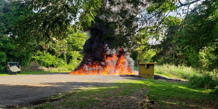 Procuraduría incinera droga incautada en Baní