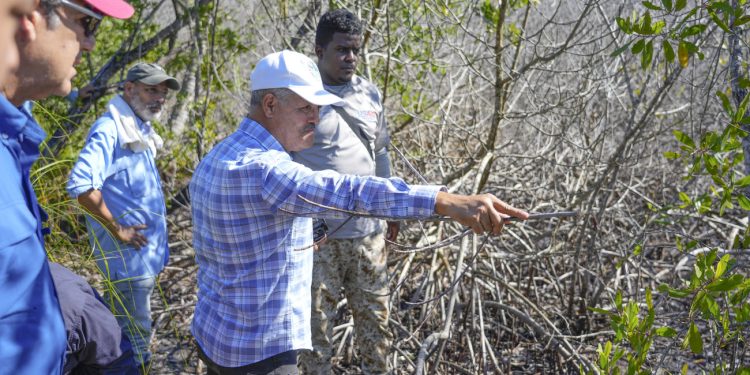 Biólogos y técnicos de Medio Ambiente acompañan a fiscales, académicos y ambientalistas en evaluación de manglar afectado en Las Terrenas